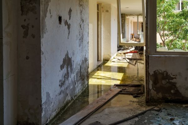 Cost of Water Removal Service in Grosse Pointe