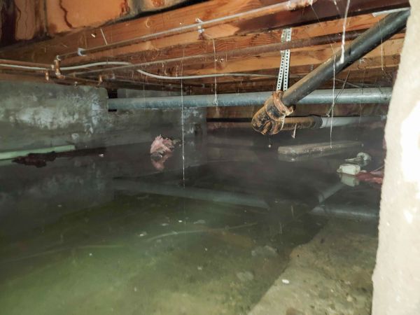 Cost of Crawlspace Water Restoration in Grosse Pointe